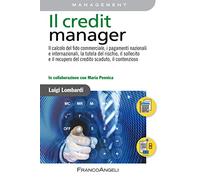 Il credit manager. Il calcolo del fido commerciale, i pagamenti nazionali e internazionali, la tutela del rischio, il sollecito e il recupero del credito scaduto, il contenzioso