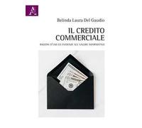 Il credito commerciale. Ragioni d'uso ed evidenze sul valore informativo