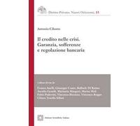 Il credito nelle crisi. Garanzia, sofferenze e regolazione bancaria