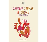 Il cuore. Una storia