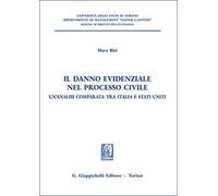 Il danno evidenziale nel processo civile. Un'analisi comparata tra Italia e Stati Uniti