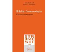 Il debito fenomenologico. Un tracciato teoretico