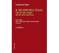 Il declino dell'Italia. Dalla fine dello sviluppo alla fine della democrazia. Forme e limiti dello sviluppo economico italiano (1946-1992) (Vol. 1)