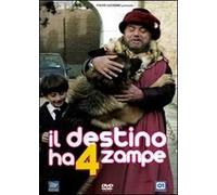 Il destino ha 4 zampe
