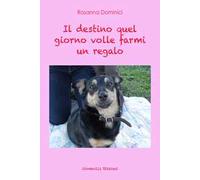 Il destino quel giorno volle farmi un regalo