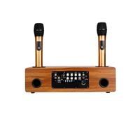 Il Di Canto Karaoke Wireless Professionale Echo Include Un Amplificatore For Altoparlante Bluetooth Con Microfono A 2 Canali For KTV Domestico Riproduzione Chiara Del Suono