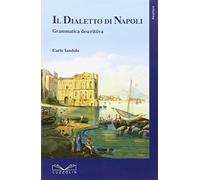 Il dialetto di Napoli. Grammatica descrittiva