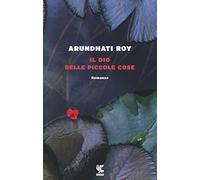 Il dio delle piccole cose