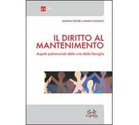 Il diritto al mantenimento. Aspetti patrimoniali della crisi della famiglia