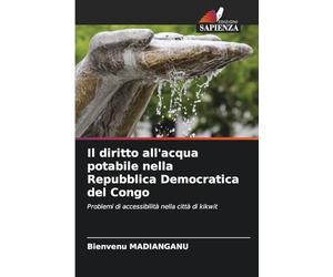 Il diritto all'acqua potabile nella Repubblica Democratica del Congo: Problemi di accessibilità nella città di kikwit