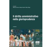 Il diritto amministrativo nella giurisprudenza