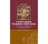 Il diritto canonico tra salvezza e realtà sociale. Studi scelti i