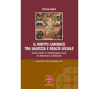 Il diritto canonico tra salvezza e realtà sociale. Studi scelti in venticinque anni di docenza e pastorale