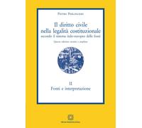 Il diritto civile nella legalità costituzionale secondo il sistema italo-europeo delle fonti. Vol. 2: Fonti e interpretazione.