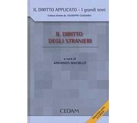 Il diritto degli stranieri