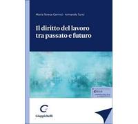 Il diritto del lavoro tra passato e futuro