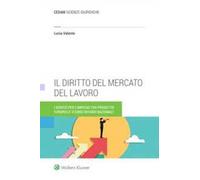 Il diritto del mercato del lavoro