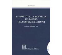 Il diritto della sicurezza sul lavoro tra conferme e sviluppi