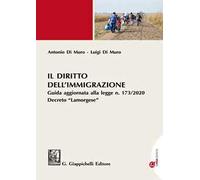 Il diritto dell'immigrazione