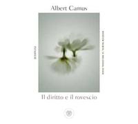 Il diritto e il rovescio