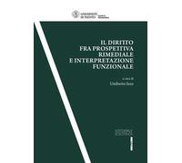 Il diritto fra prospettiva rimediale e interpretazione funzionale