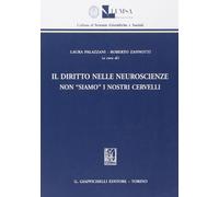 Il diritto nelle neuroscienze. Non «siamo» i nostri cervelli