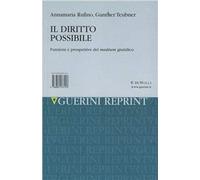 Il diritto possibile. Funzioni e prospettive del medium giuridico