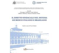 Il diritto sindacale nel sistema giuridico italiano e brasiliano [Paperback] [Ja