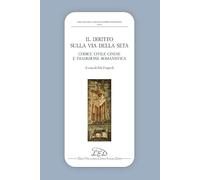 Il diritto sulla via della seta. Codice civile cinese e tradizione romanistica