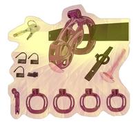Il Dispositivo di bloccaggio della Gabbia da Uomo Viola può Essere Combinato con la Cintura di Assistenza per l'esercizio Fisico (B1Z:X)