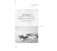 Il distacco. Luoghi lontani invisibili ad altri