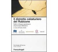Il distretto calzaturiero del Rubicone. Dallo sviluppo spontaneo al processo riflessivo
