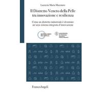 Il Distretto Veneto della Pelle tra innovazione e resilienza. Come un distretto industriale è diventato un'area sistema integrata d'innovazione