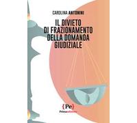 Il divieto di frazionamento della domanda giudiziale