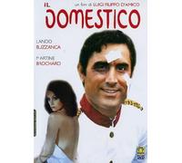 Il Domestico (DVD) Brochard Buzzanca D'Amico Filippo Luig