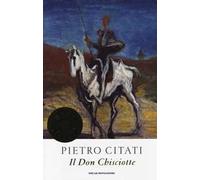 Il Don Chisciotte