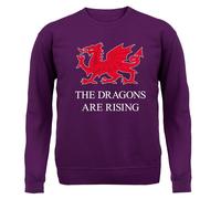 Il Draghi Are IN Aumento - Bambini Felpa/Maglione - Wrexham Calcio Dragon Love