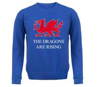 Il Draghi Are IN Aumento - Bambini Felpa/Maglione - Wrexham Calcio Dragon Love
