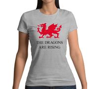 Il Draghi Are IN Aumento - T-Shirt - Wrexham Calcio Dragon Love Player