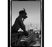 IL DRAGO: SIMBOLO, MITO, REALTA'