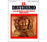 Il druidismo. Religione e divinità dei celti