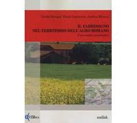 Il fabbisogno nel territorio dell'agro romano. Una analisi sociologica