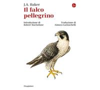 Il falco pellegrino [Paperback] [Apr 11, 2025] Baker, John Alec and Garlaschelli