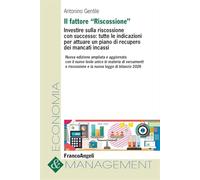 Il fattore «Riscossione». Investire sulla riscossione con successo: tutte le indicazioni per attuare un piano di recupero dei mancati incassi. Ediz. ampliata