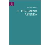 Il fenomeno azienda