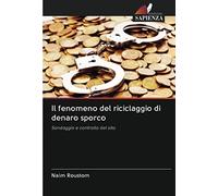 Il fenomeno del riciclaggio di denaro sporco: Sondaggio e controllo del sito