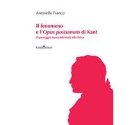 Il fenomeno e l'Opus postumum di Kant. Il passaggio trascendentale alla fisica