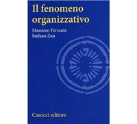Il fenomeno organizzativo