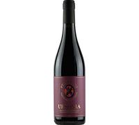 Il Feuduccio Montepulciano Abruzzo Ursonia