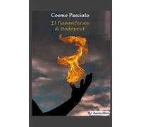 Il fiammiferaio di Budapest. Nuova ediz.